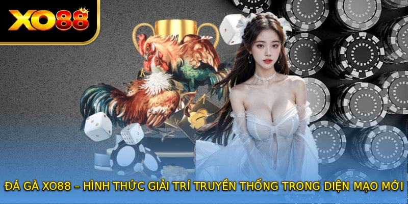 Đá gà XO88 – Hình thức giải trí truyền thống trong diện mạo mới