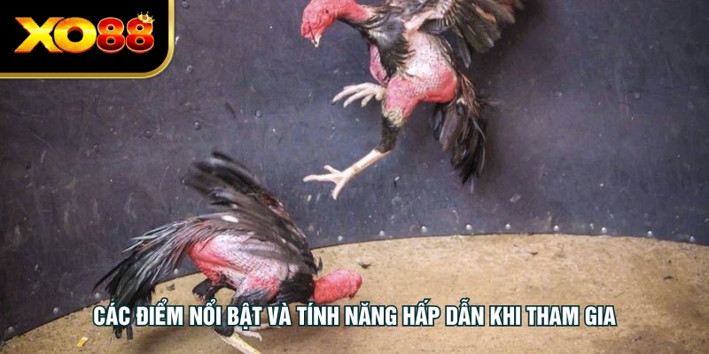 Các điểm nổi bật và tính năng hấp dẫn khi tham gia